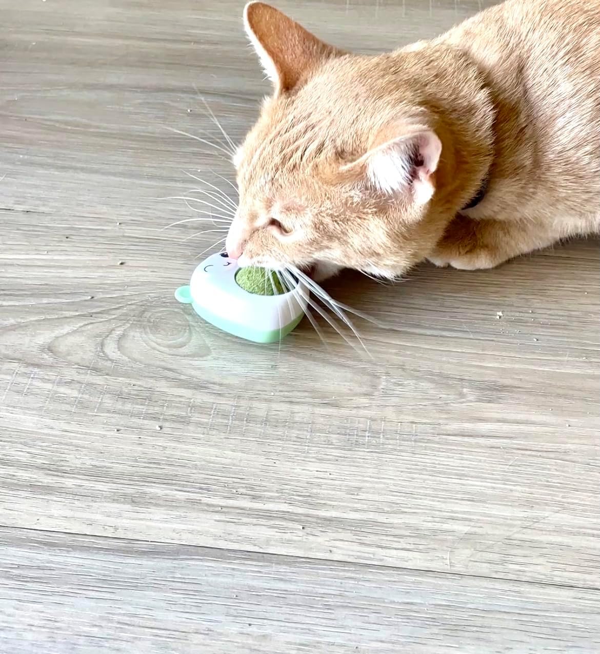 PROMO 2x1 Catnip Ball Juguete para Gato de Hierba Natural