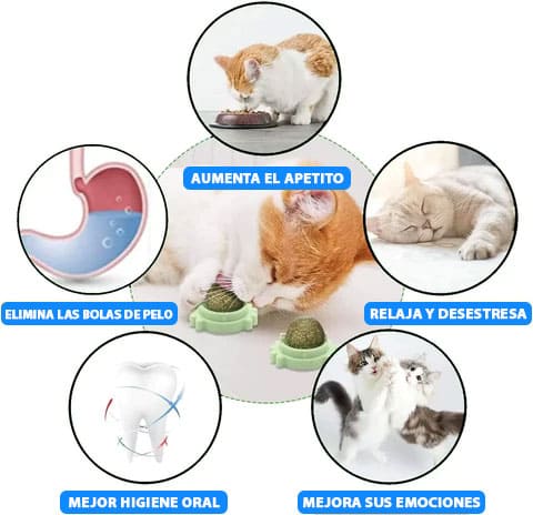 PROMO 2x1 Catnip Ball Juguete para Gato de Hierba Natural