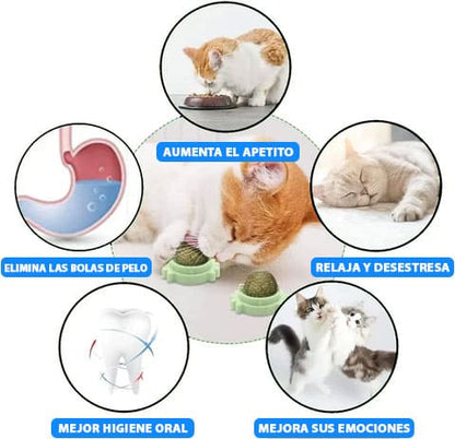 PROMO 2x1 Catnip Ball Juguete para Gato de Hierba Natural